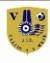 logo Valtellina Futsal