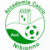 logo TIGER FUTSAL